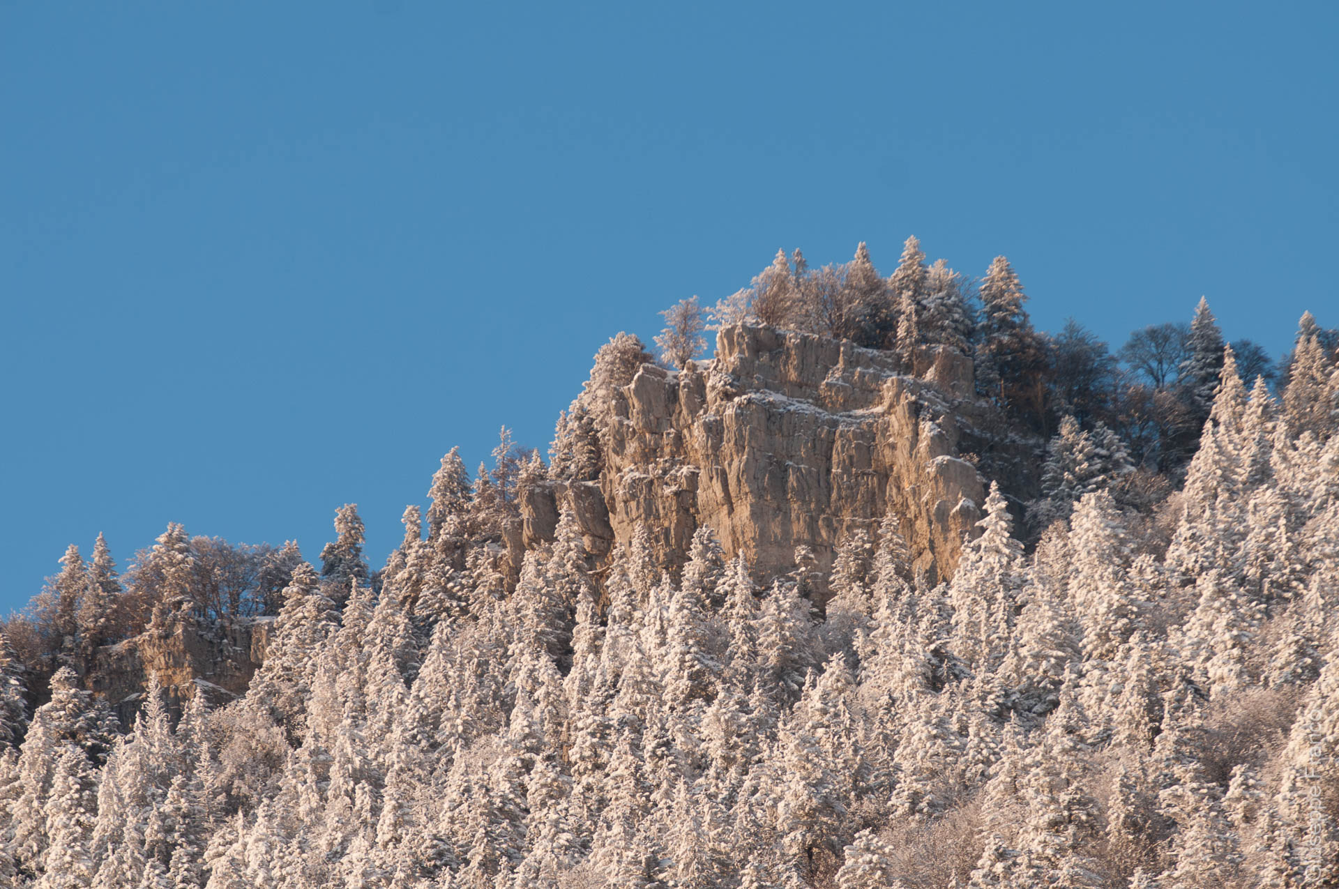 The trees on the Aiguilles de Baulmes are covered by ice and snow after the extreme temperature.