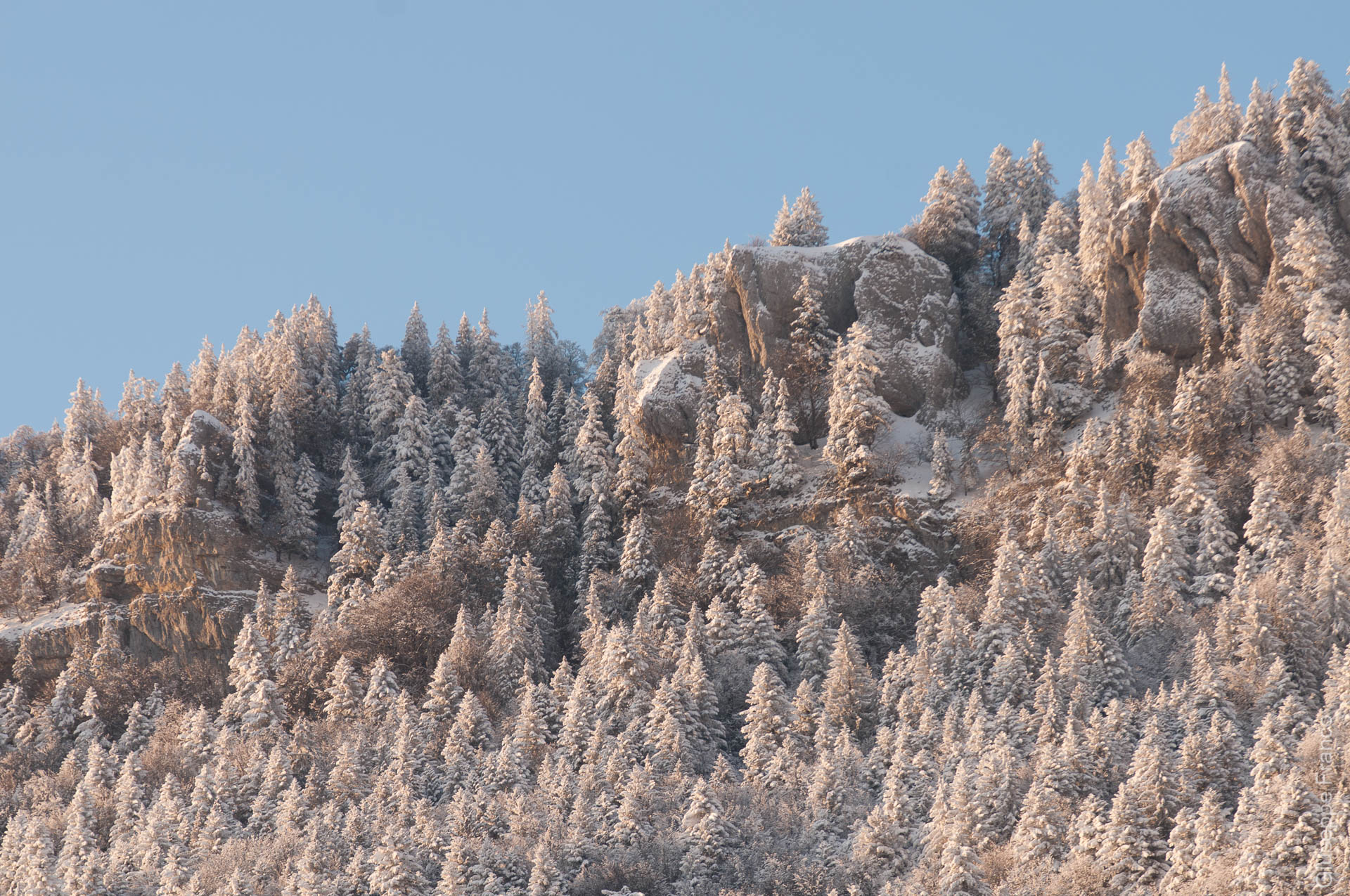 The trees on the aiguilles de Baulmes are covered by ice and snow after the extreme temperature.