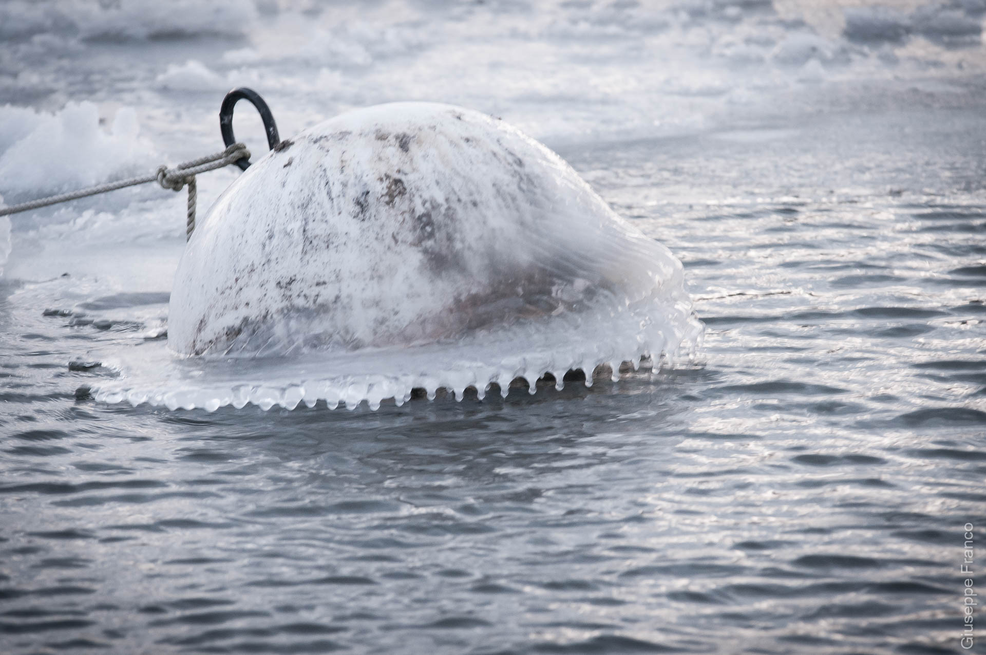 This buoy covered by ice shows an amazing pattern of drops on the side.