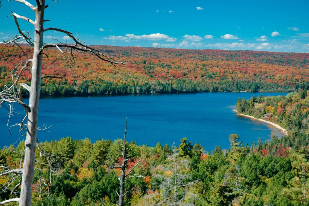 View over a lake at Algonquin Provincial Park during indian summer