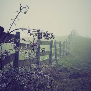 Fence in the fog.