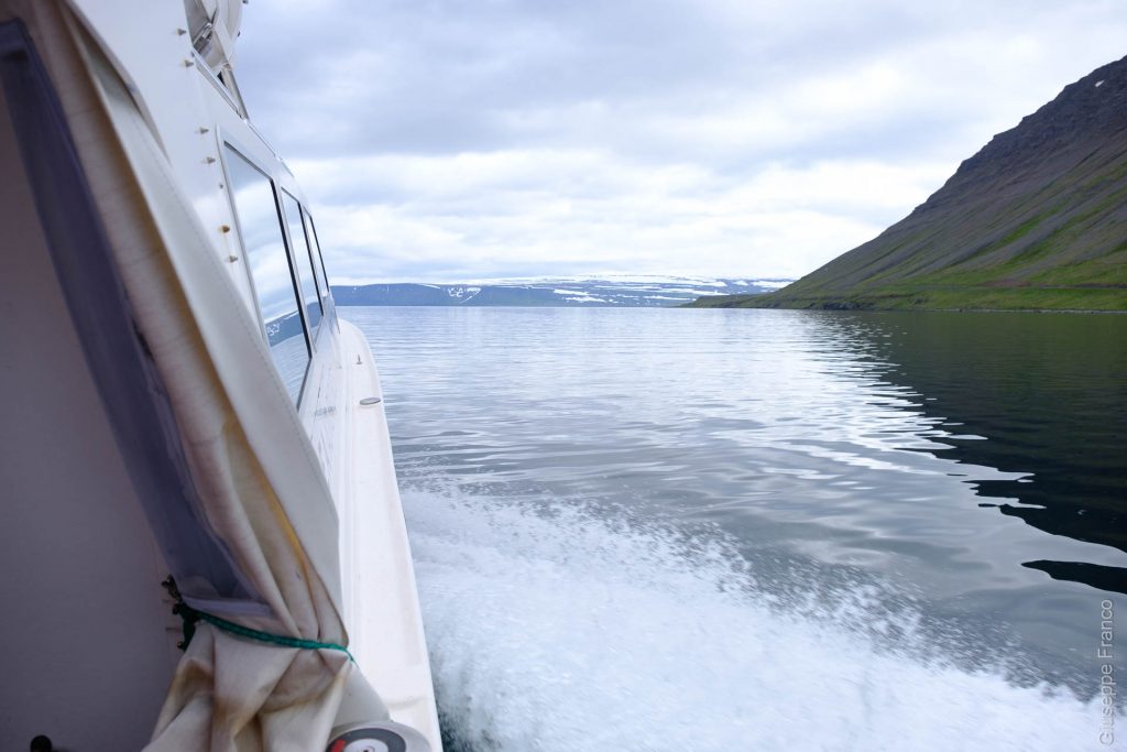 Nordstrandir - Iceland - Day1. On the boat from Isafjordur.