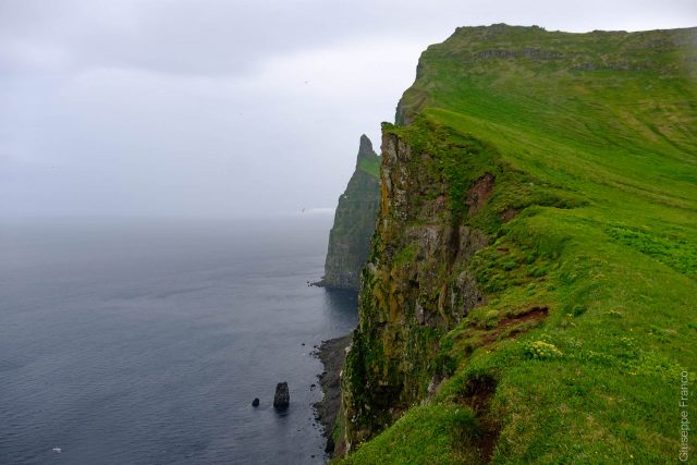 Nordstrandir - Iceland - Day2. Top north Hornstrandir, a magnificent bird cliff.