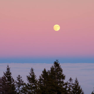 The moon is rising over a large sea of clouds during sunset. Color mode Fujifilm Velvia/Vivid.